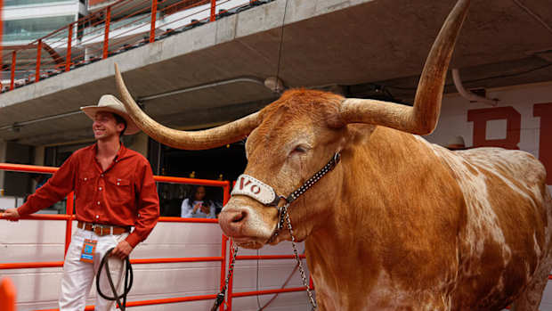 Bevo-Spring Game